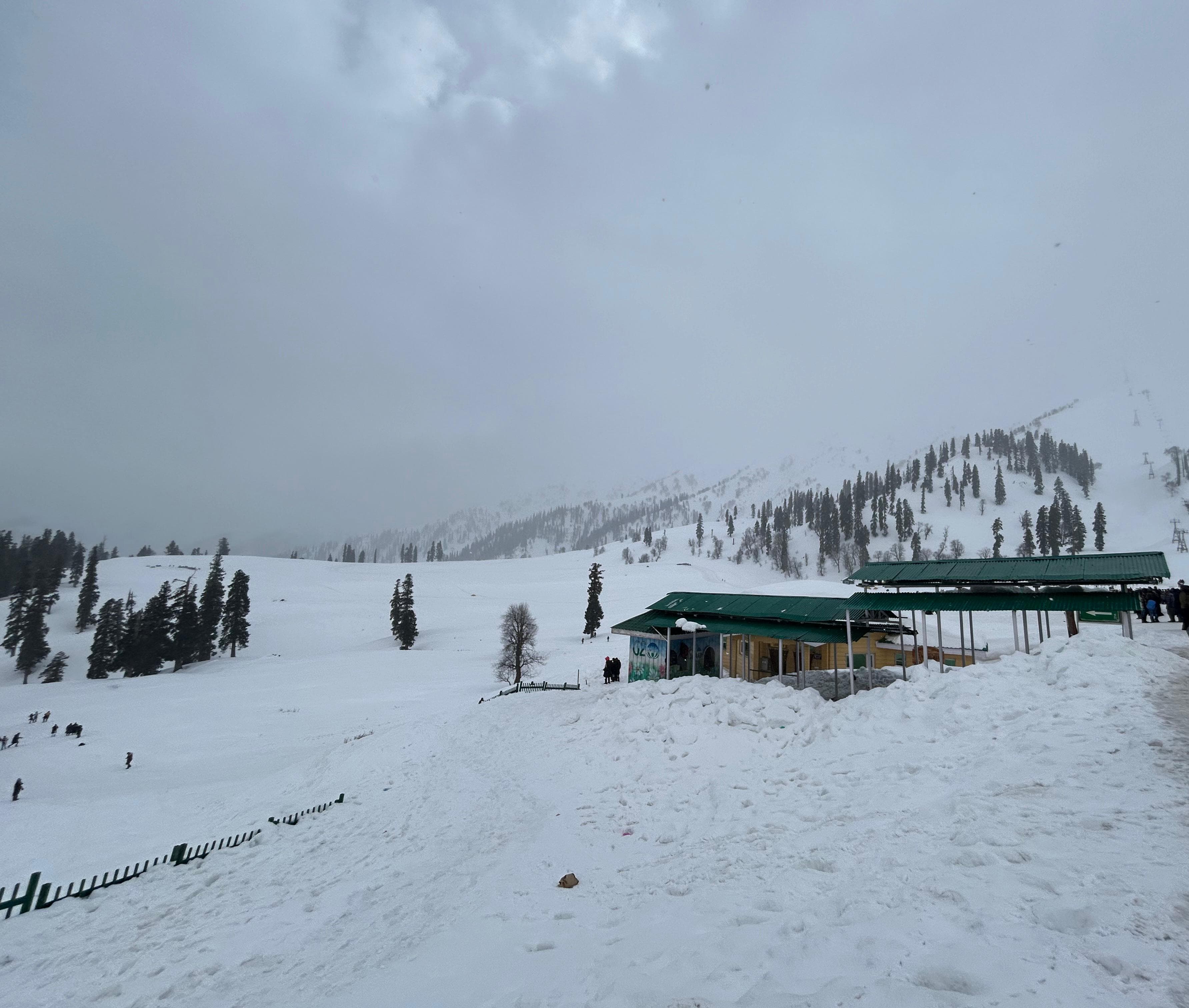 Kashmir
